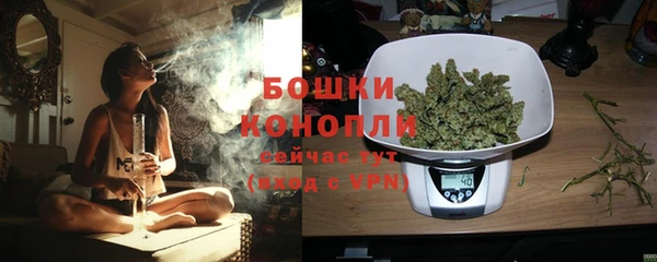 прущие грибы Зеленокумск