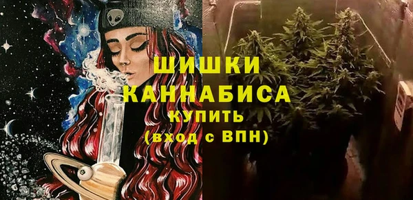 прущие грибы Зеленокумск