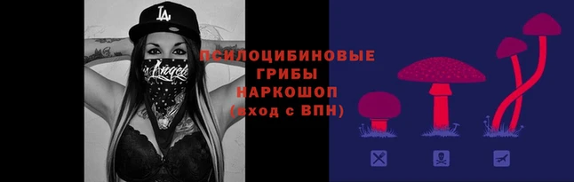 меф Зерноград