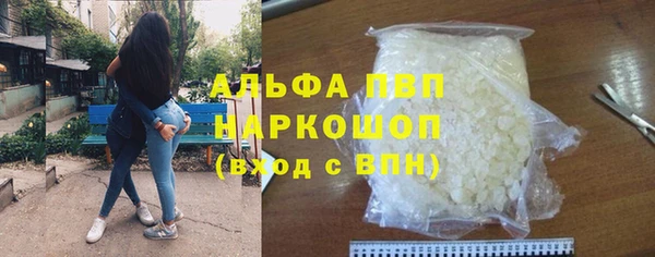 PSILOCYBIN Заводоуковск